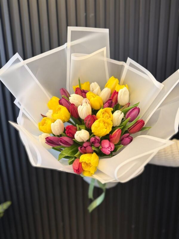 35 Tulips all Colors