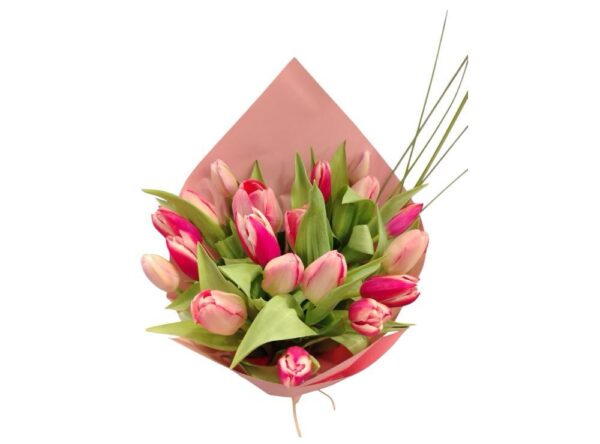 20 Mixed Tulips