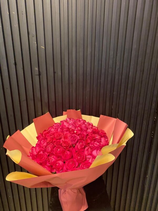 100 Fushia Roses Compact
