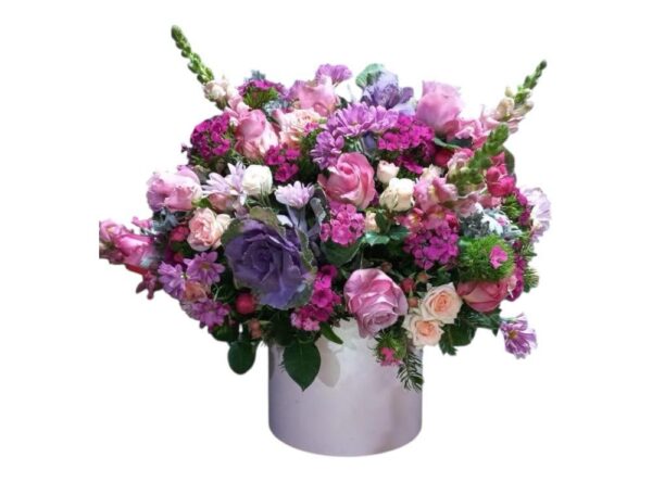 Box Flully Lila colors