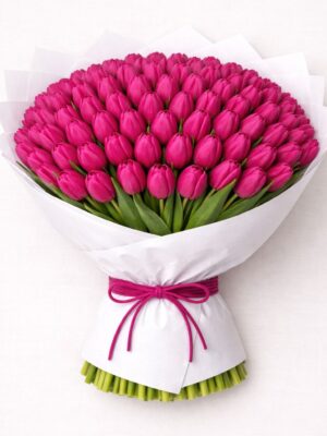 100 fushia tulips 100 Fushia Tulips