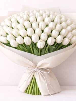 100 white tulips 100 White Tulips