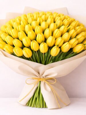 100 yellow tulips 100 Yellow Tulips