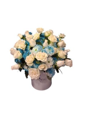 VIP Box White & Blue