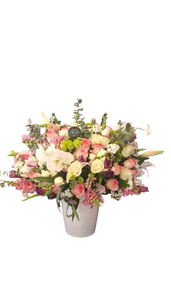 Big and Stylish Pink & White