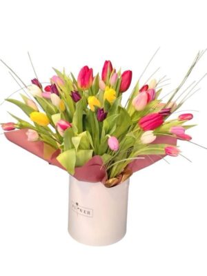 Tulips Colorful Medium