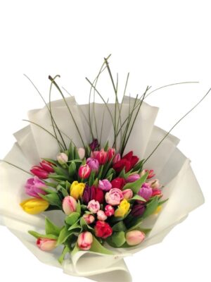 40 Tulips Mixed