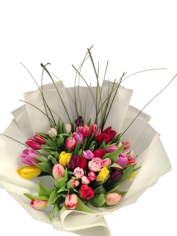 40 Tulips Mixed