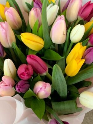 30 Tulips Bouquets
