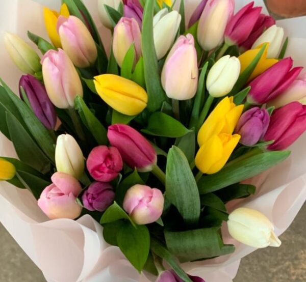 30 Tulips Bouquets