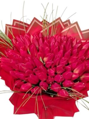 32 100 Red Tulips Compact