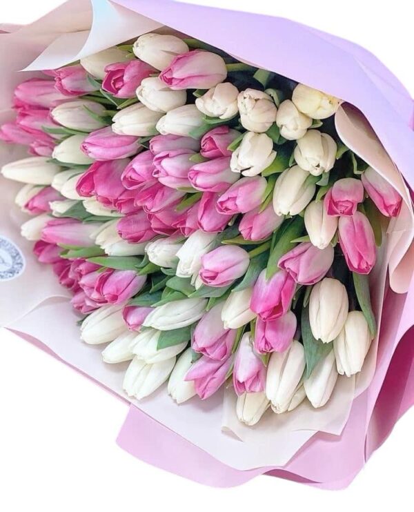 White & Fushia Tulips