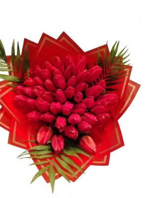 50 Red Tulips