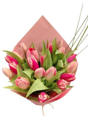 20 Mixed Tulips