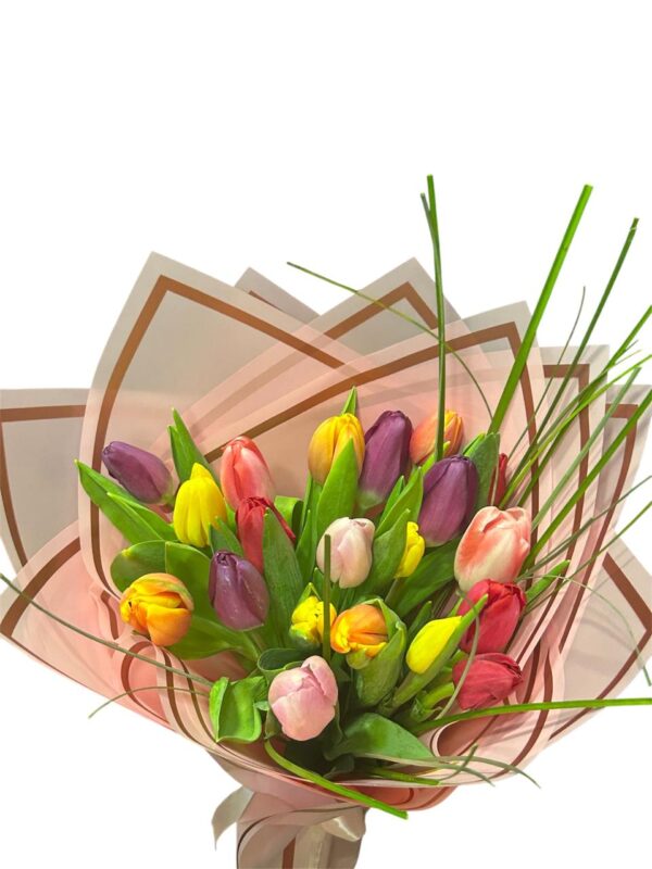 All Colors 20 Tulips