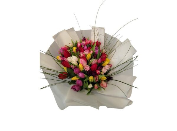 70 Colorful Tulips