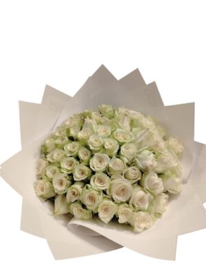 60 White Roses