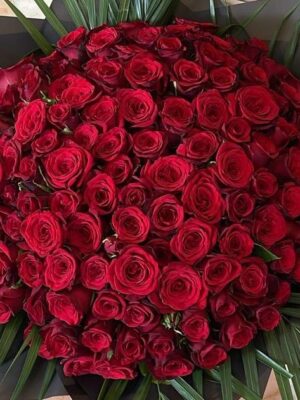 49 150 Red Roses Compact