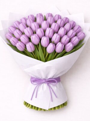 50 lila tulips 50 Lila Tulips