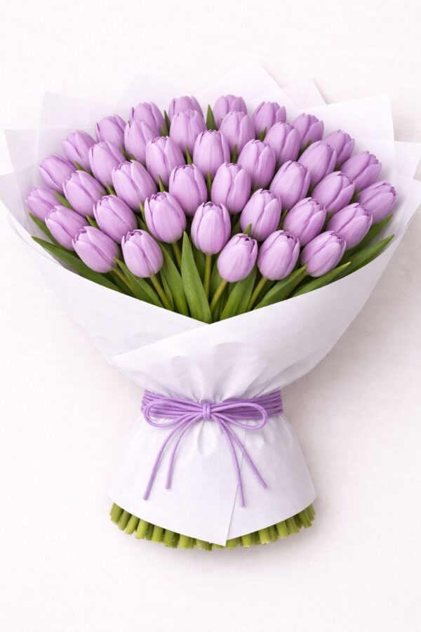 50 Lila Tulips
