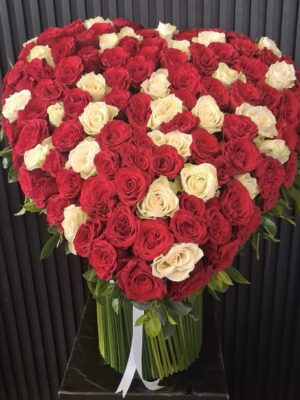 Heart Red Roses Touched by white roses