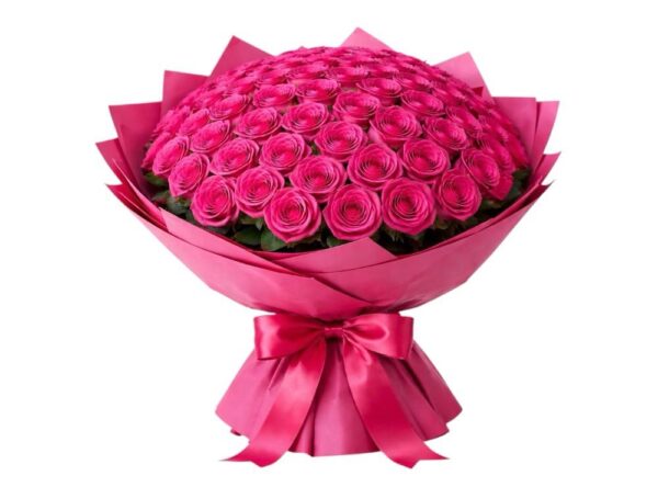 60 Fushia Roses