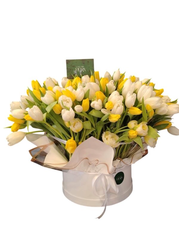 White & Yellow Tulips